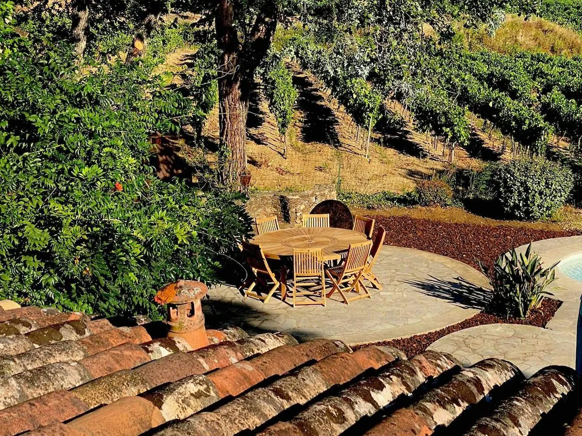 La Calade - Havre De Paix - Gulf Of Saint-Tropez - Villa Cogolin