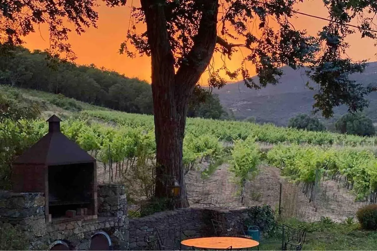La Calade - Havre De Paix - Gulf Of Saint-Tropez - Villa Cogolin