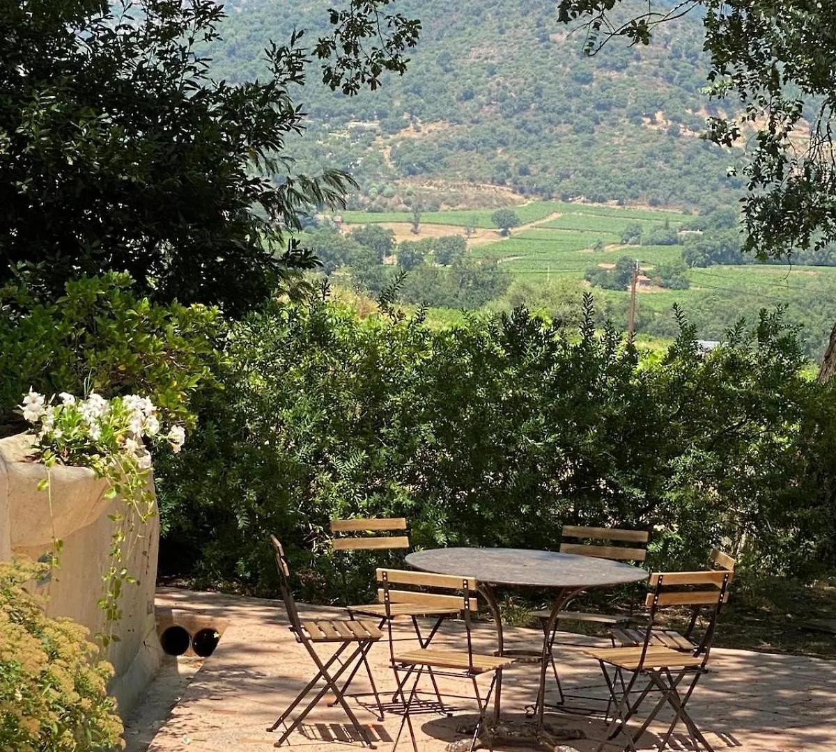 La Calade - Havre De Paix - Gulf Of Saint-Tropez - Villa Cogolin