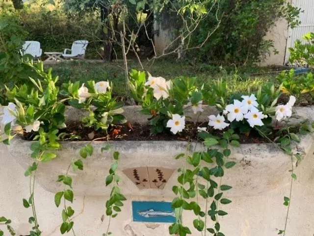 La Calade - Havre De Paix - Gulf Of Saint-Tropez - Villa Cogolin France